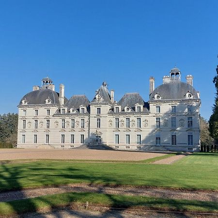 Trainefeuilles - Chambres D'Hotes Proche Zoo De Beauval Le Controis-en-Sologne Exterior foto